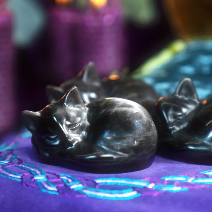 Silver Sheen Obsidian Moon Magic Kitty