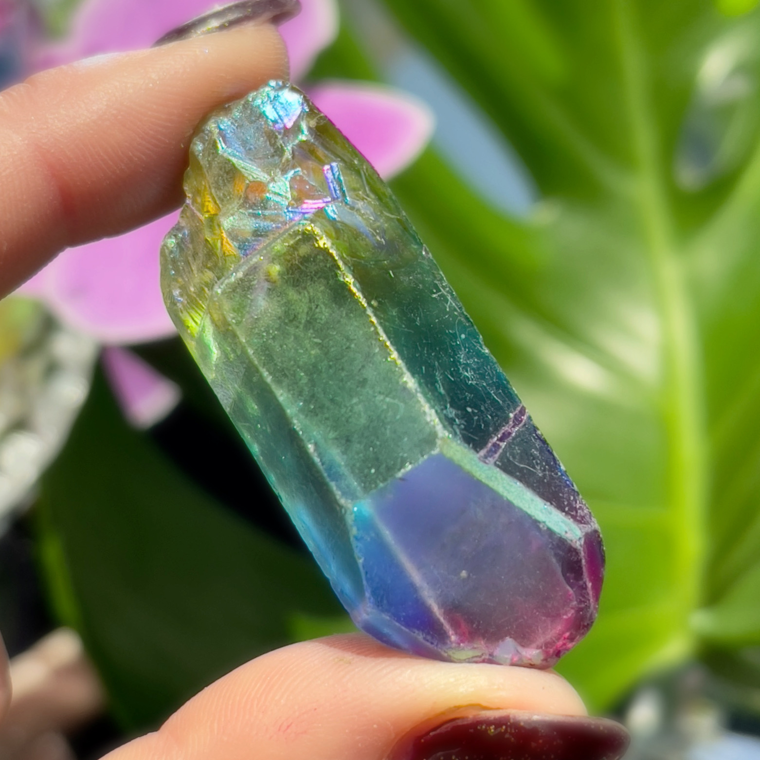 Crystal Aura Quartz Natural Healing Points Gem Angel Crystals Lemurian Point Lot 