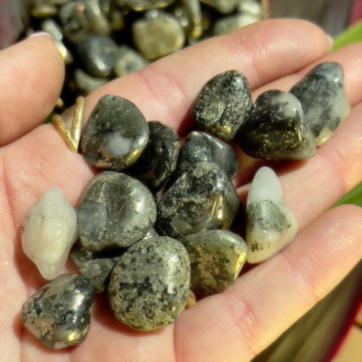 Tumbled African Gold Pyrite