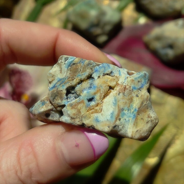 Tumbled Azurite & Chrysocolla in Petrified Wood