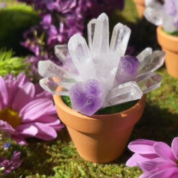 Crystal Garden Flower Pot