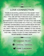 card-46