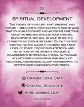 card-12