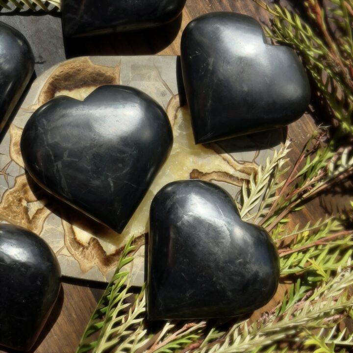 Shungite Heart