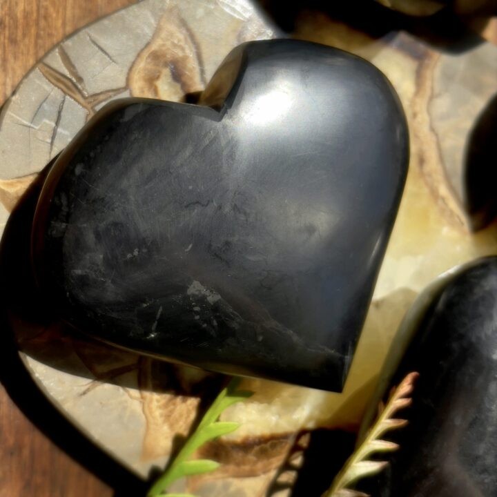 Shungite Heart