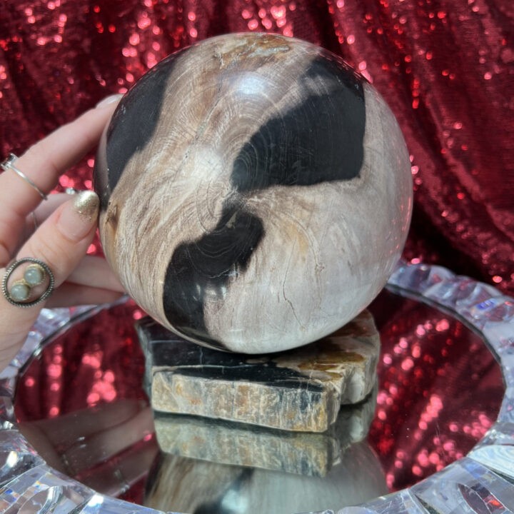Petrified Wood Sphere with Stand