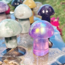 Intuitively Chosen Magical Mushroom