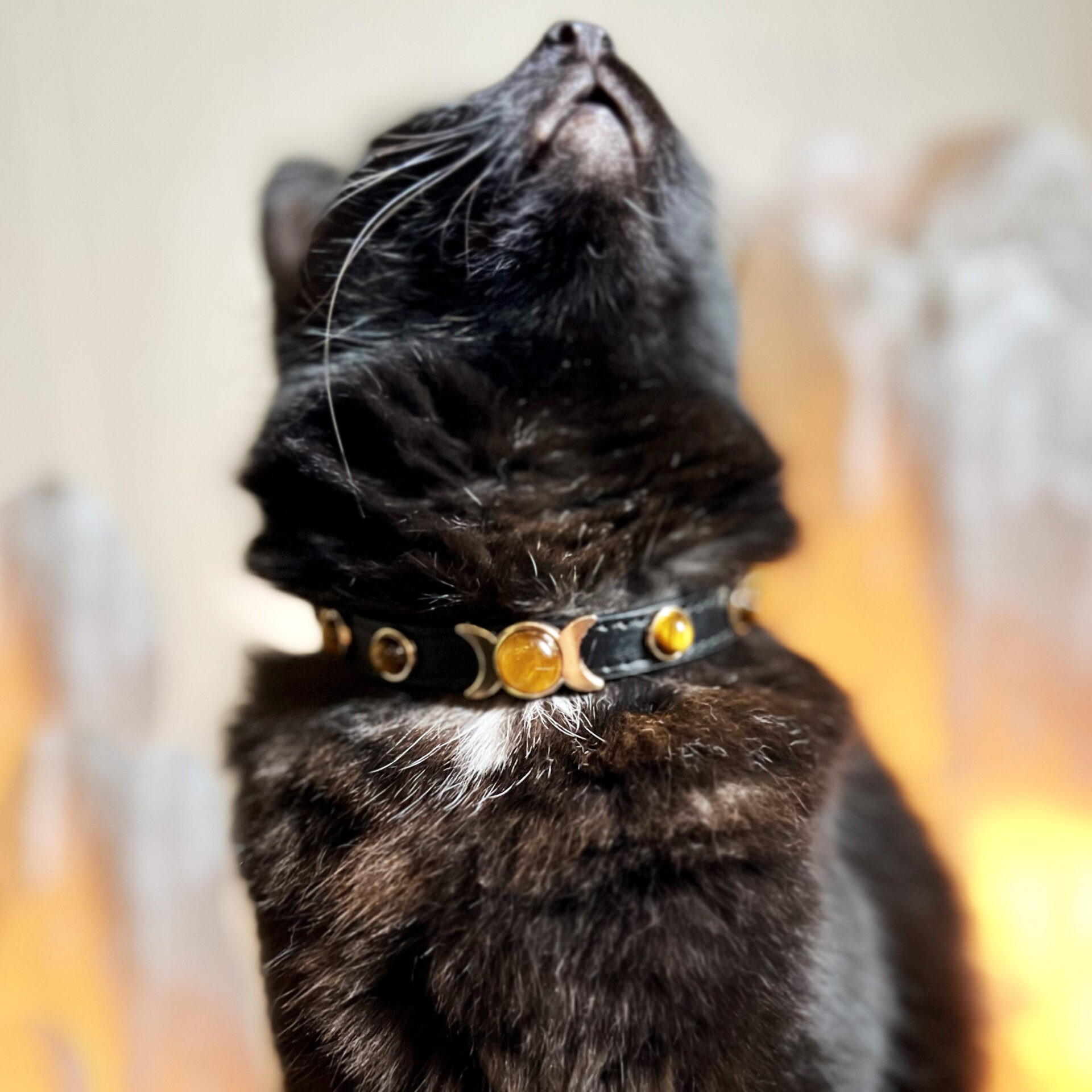 Sage Goddess Tiger's Eye Triple Moon Cat Collar for feline protection