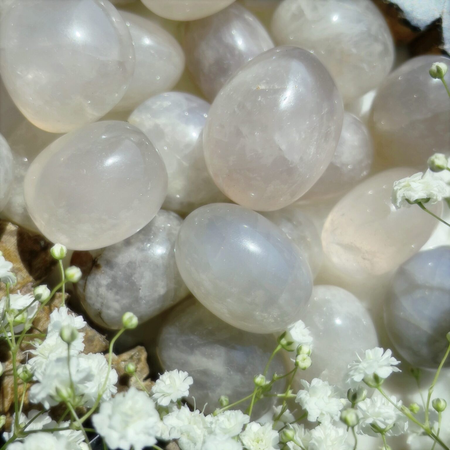 Home Shop Gems & Minerals Tumbled Blue Rose Quartz