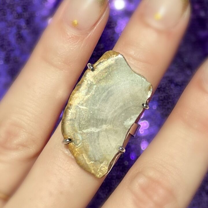 Sage Goddess Gemstone Sale Petrified Wood Ring