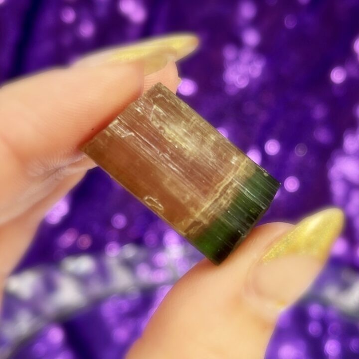 AAA-Grade Watermelon Tourmaline Specimen