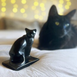 Mysterious Black Obsidian Cat
