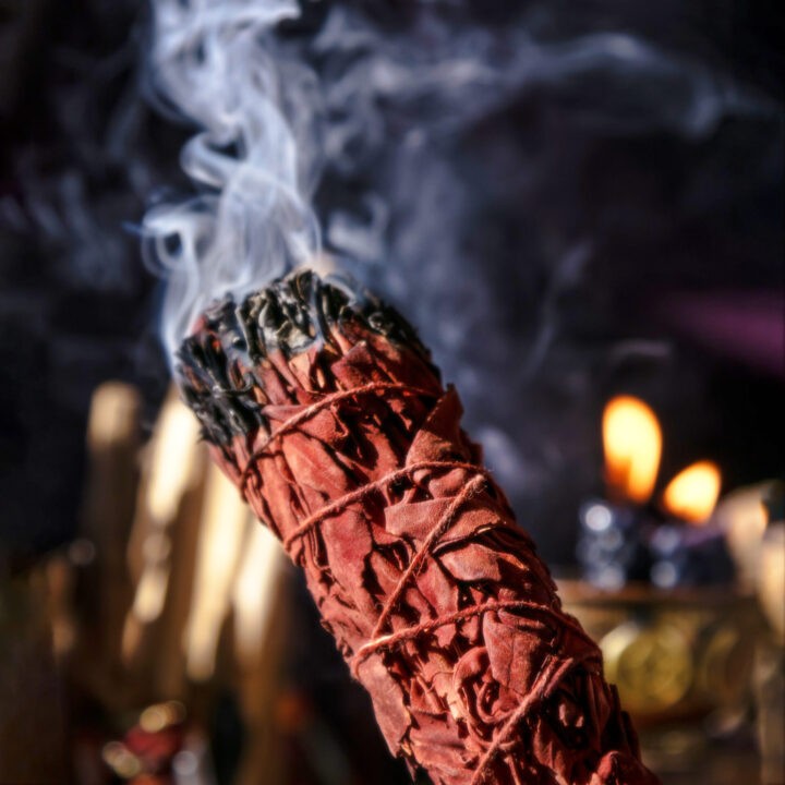 Dragons Blood Sage Protection Smudge Bundle