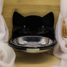 Magical Black Cat Feeding Bowl