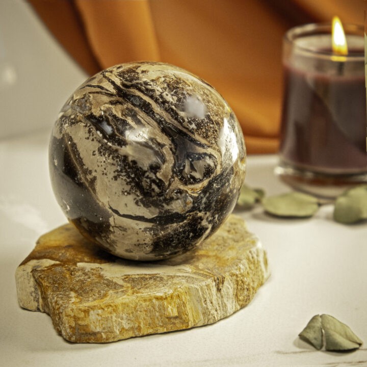 Petrified Palm Root Sphere & Sphere Stand Duo