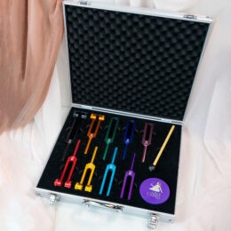 9 Chakra Tuning Fork Set with Carry Case