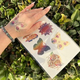 Butterfly Flash Tattoos