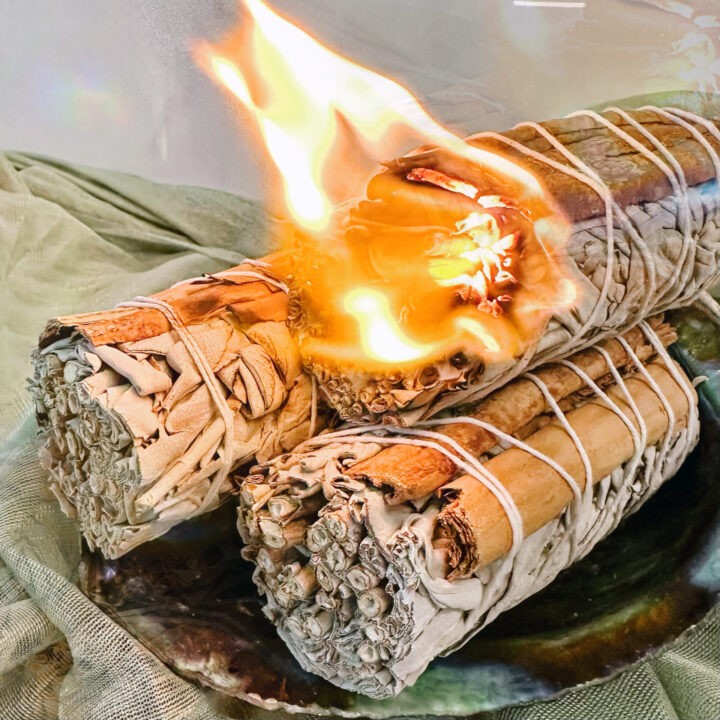 Cinnamon and White Sage Clearing and Abundance Smudge Bundle