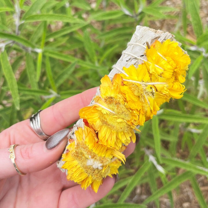 Sunflower and White Sage Smudge Bundle