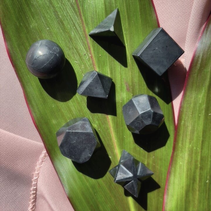 Shungite Sacred Geometry Set