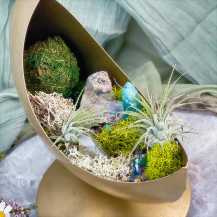 Magic Garden Crescent Moon Planter