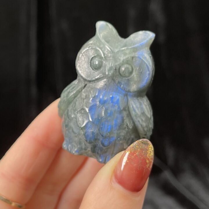 Labradorite Owl