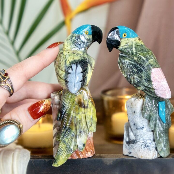 Success and Confidence Jadeite Parrot