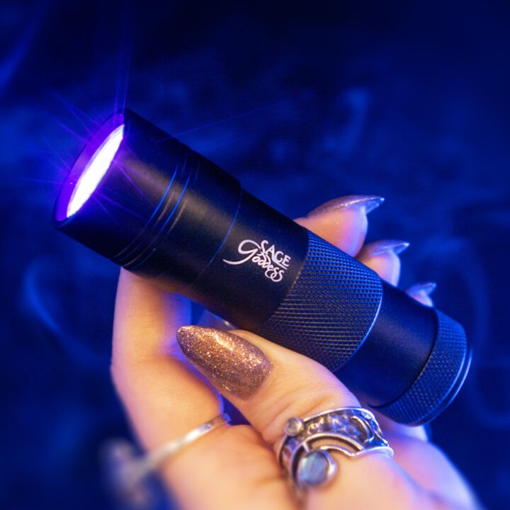 Black Light LED Flashlight