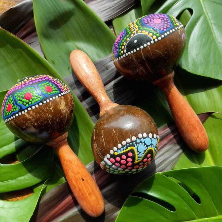 Hand Painted Coconut Rattle