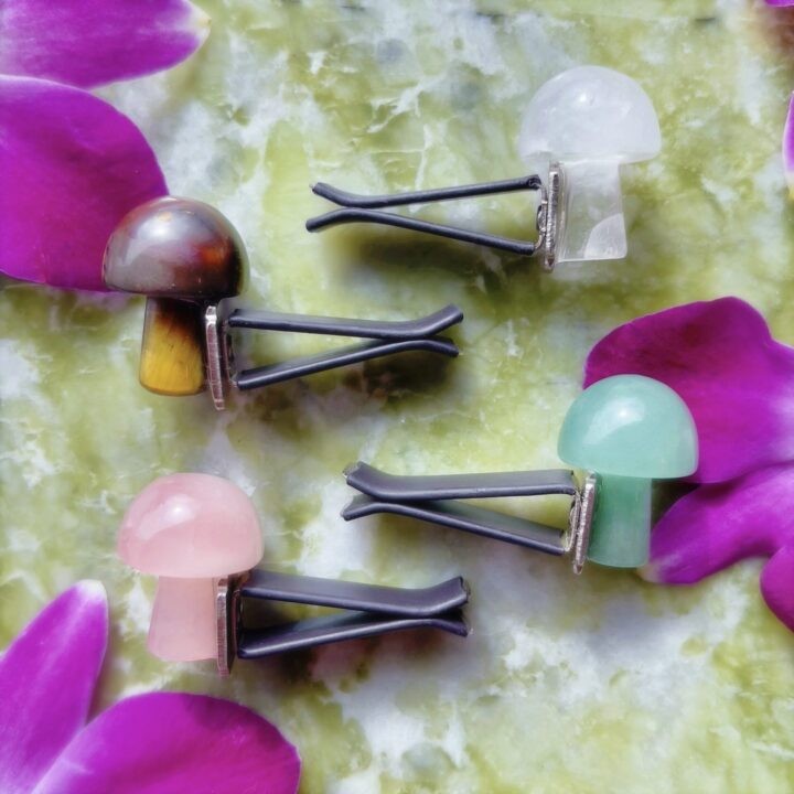 Intuitively Chosen Gemstone Mushroom Car Vent Clip