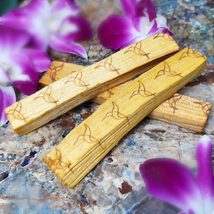 Colibri Infused Palo Santo Stick