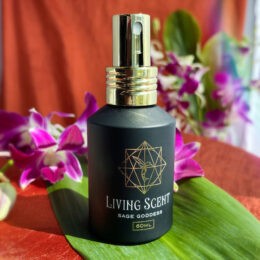 June 2023 Living Essence Mist