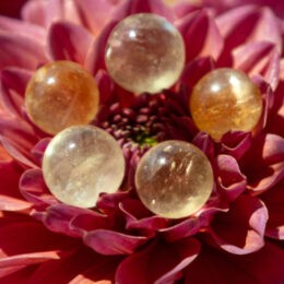 Honey Calcite Mini Sphere