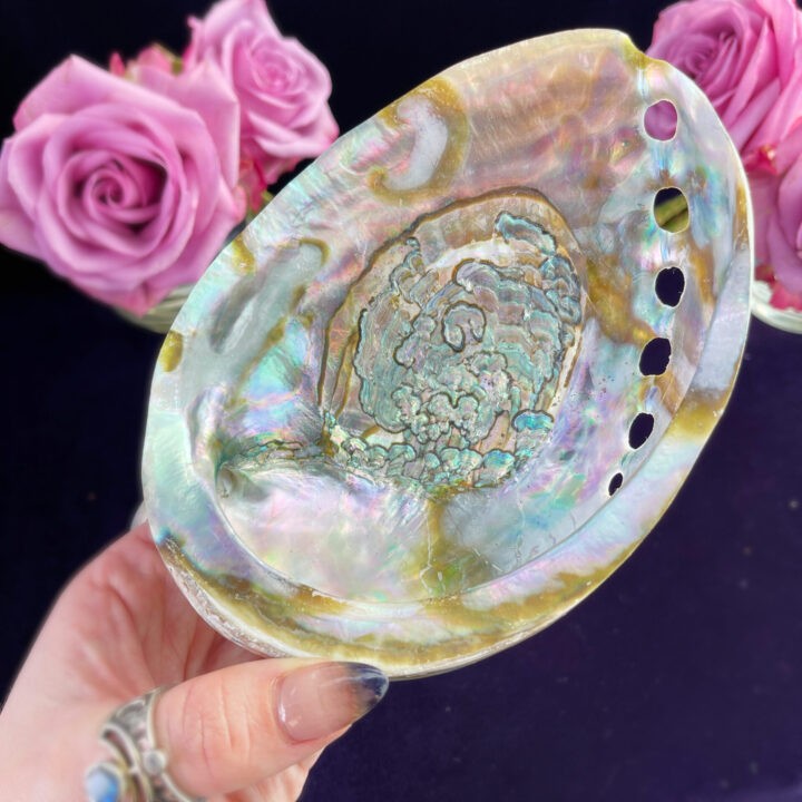 Abalone Shell with Mini White Sage Smudge Bundle Duo