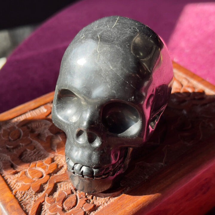 Shungite Skull