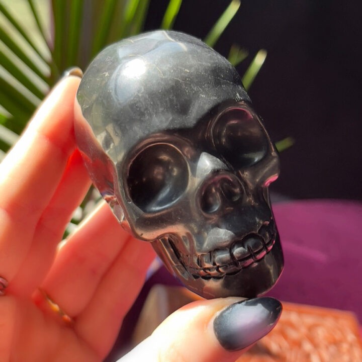 Shungite_Skull