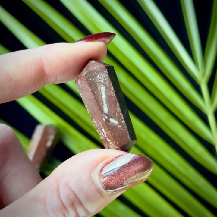 Mini Red Petrified Wood Vogel