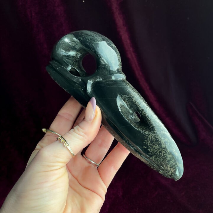 Schiefer Pyrite Corvid Skull