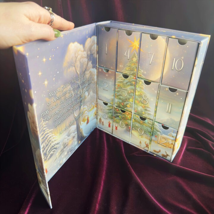 Magical Wonderland Advent Calendar