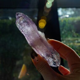 Natural Vera Cruz Amethyst Point