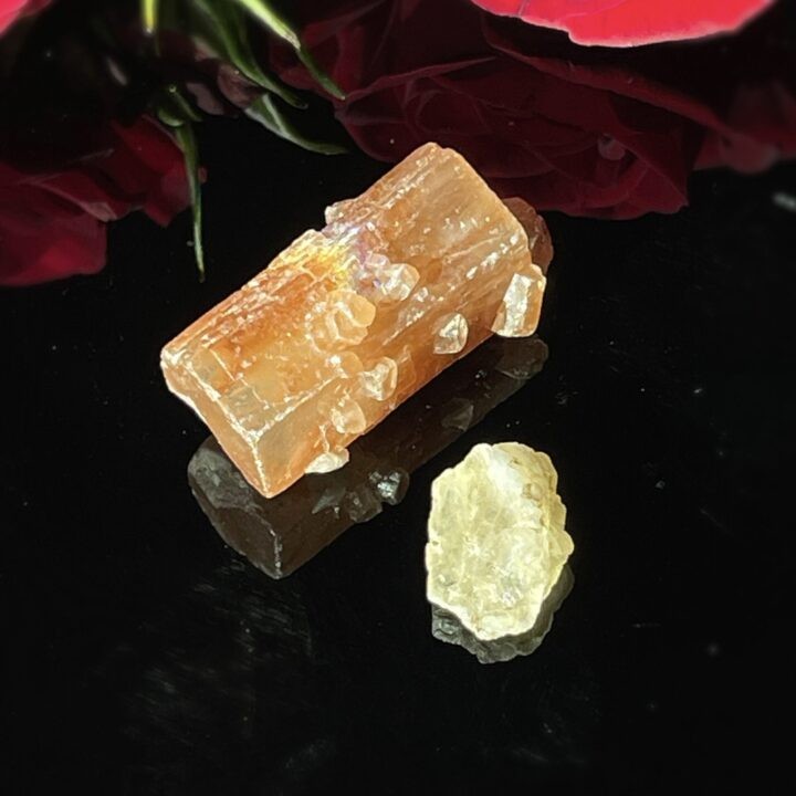 Scorpio Gemstone Duo