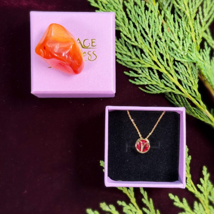 Zodiac Necklace & Crystal Duo Gift Set