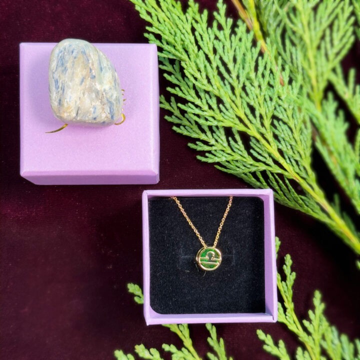 Zodiac Necklace & Crystal Duo Gift Set