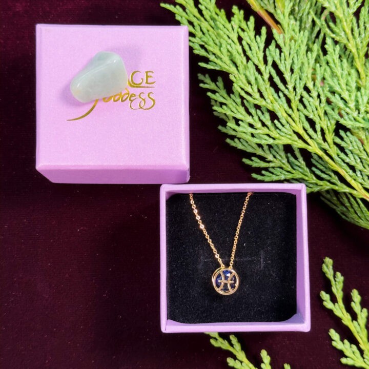 Zodiac Necklace & Crystal Duo Gift Set