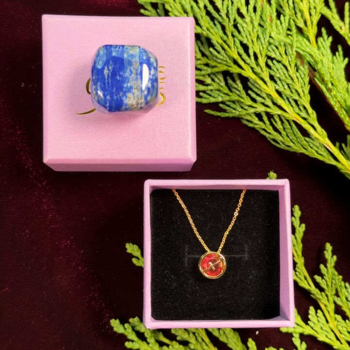 Zodiac Necklace & Crystal Duo Gift Set