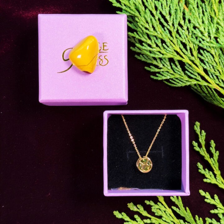 Zodiac Necklace & Crystal Duo Gift Set