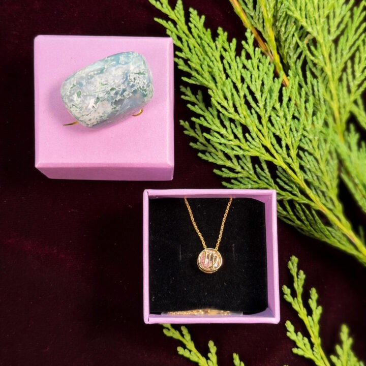 Zodiac Necklace & Crystal Duo Gift Set