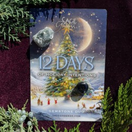 12 Days of Holiday Intentions Gemstone Duo for Protection