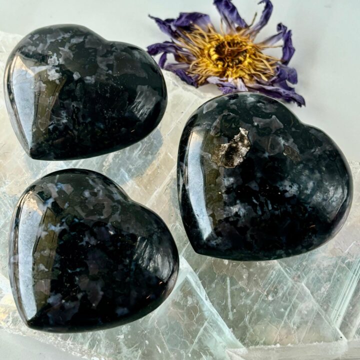 Indigo Gabbro Heart