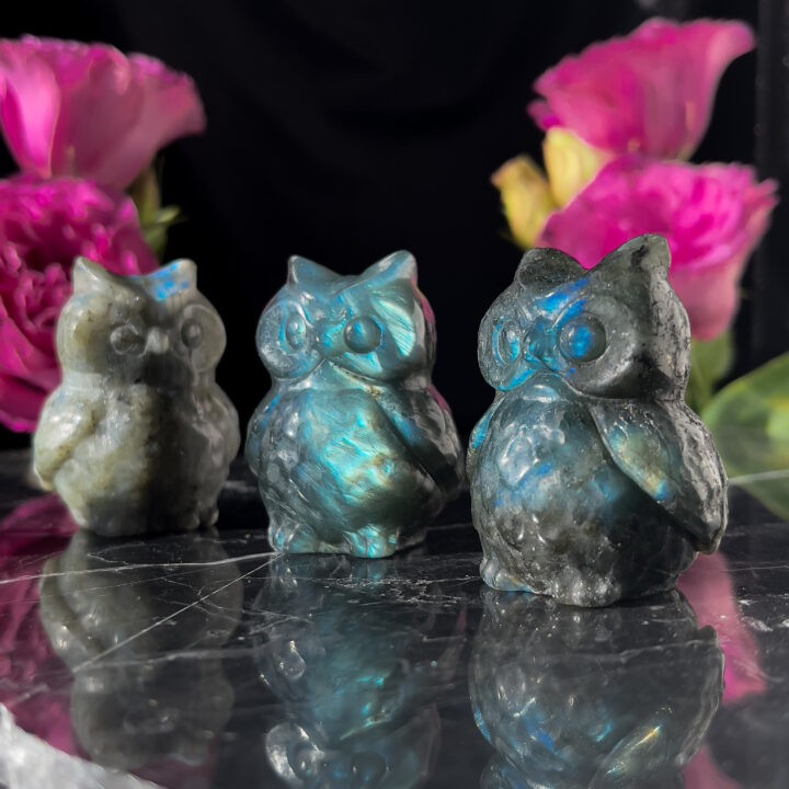 Inner Wisdom Labradorite Owl